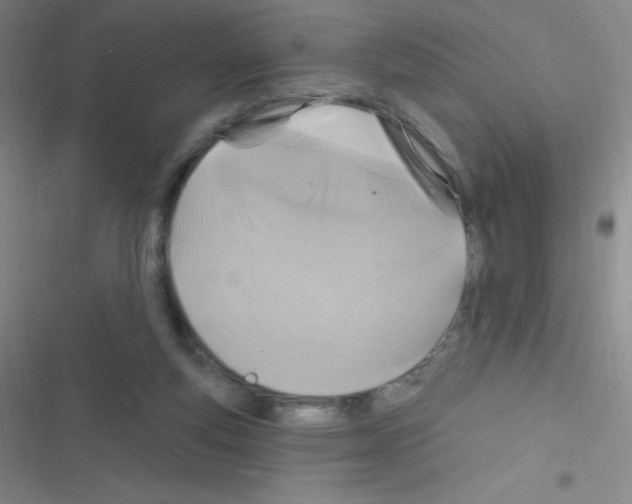 X0000116590163201001211333