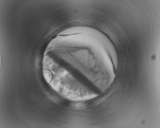 X0000116590165201001211333