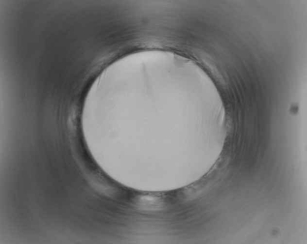 X0000116590167201001211333