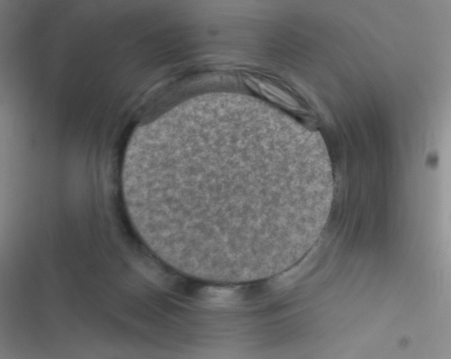 X0000116590170201001211333