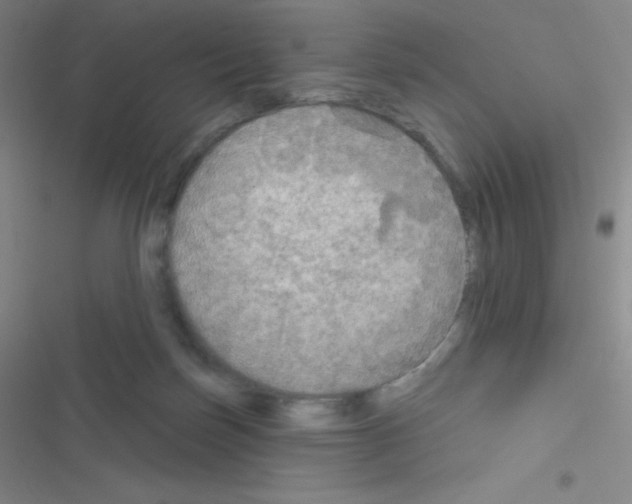 X0000116590171201001211333