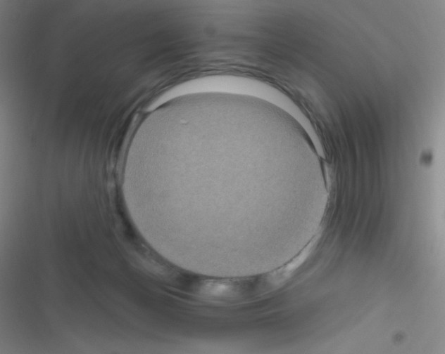 X0000116590174201001211333