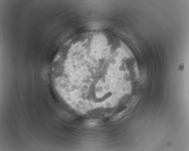 X0000116590175201001211333