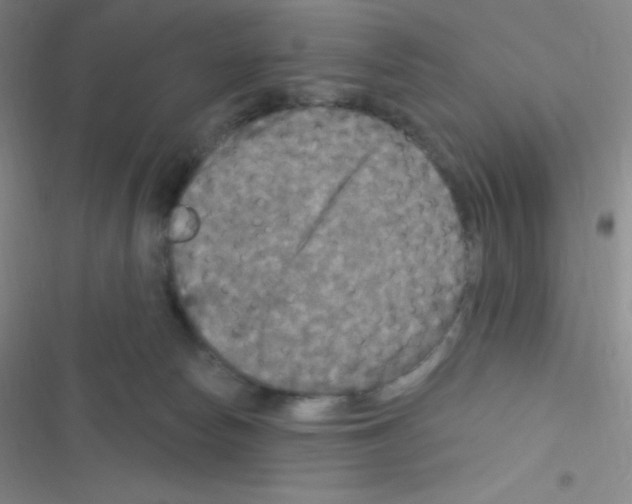 X0000116590178201001211333