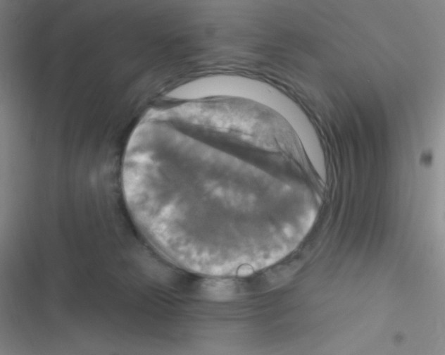 X0000116590181201001211333