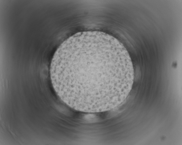 X0000116590183201001211334