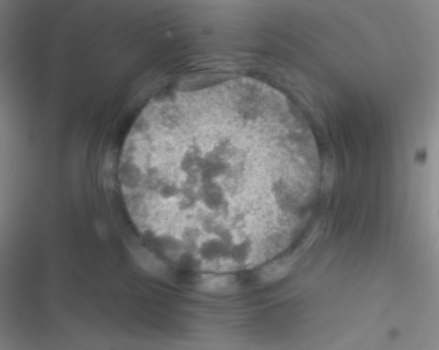 X0000116590185201001211334