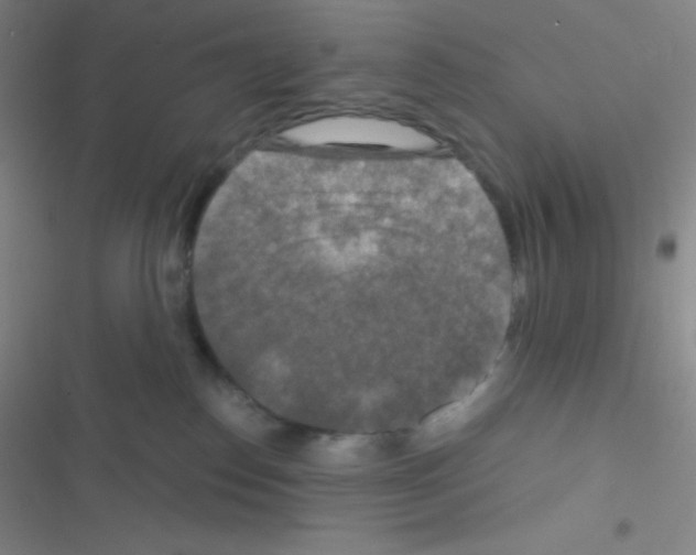 X0000116590186201001211334