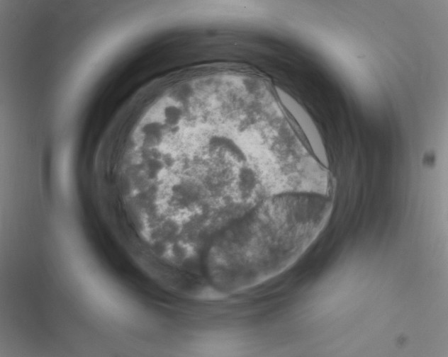 X0000116590189201001211334