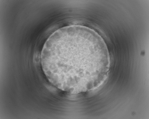 X0000116590191201001211334