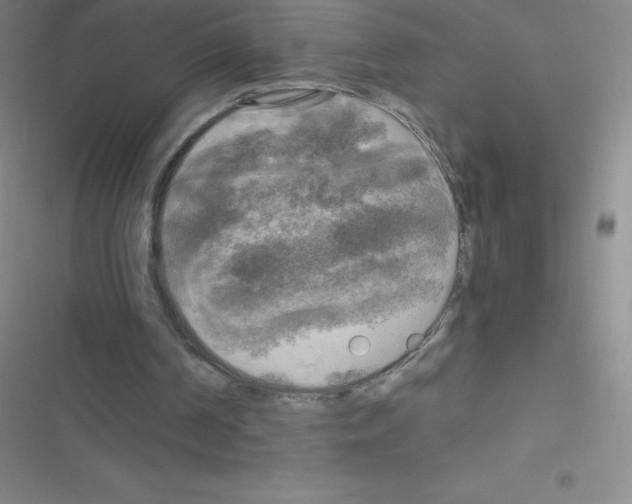 X0000116590194201001211333