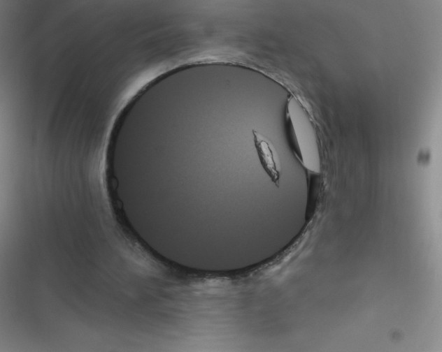 X0000116590196201001211333