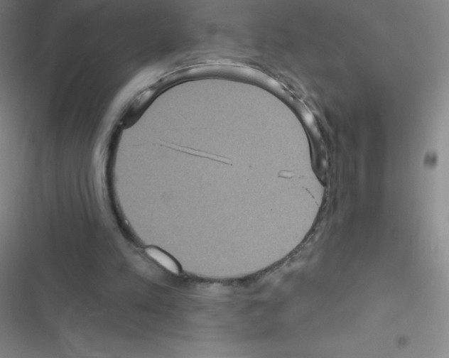 X0000116590197201001211333