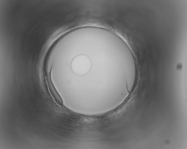 X0000116590199201001211333