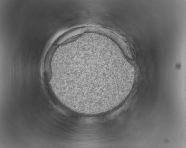 X0000116590200201001211333