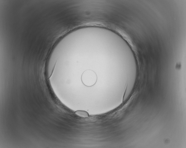 X0000116590201201001211333