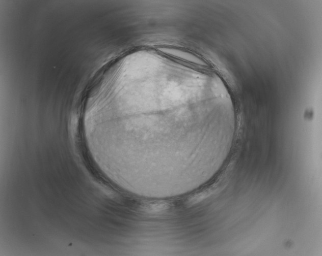 X0000116590202201001211333