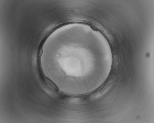 X0000116590203201001211333