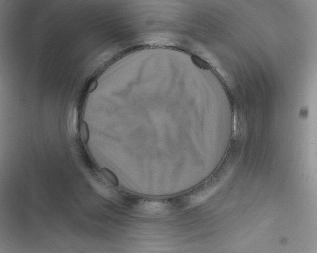 X0000116590205201001211333