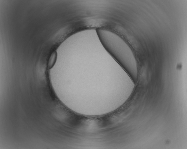 X0000116590209201001211333