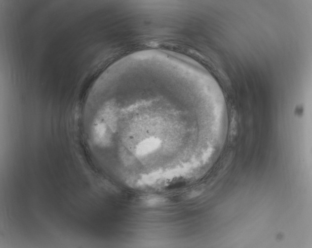 X0000116590210201001211333