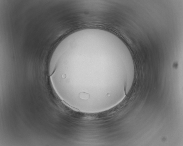 X0000116590211201001211333