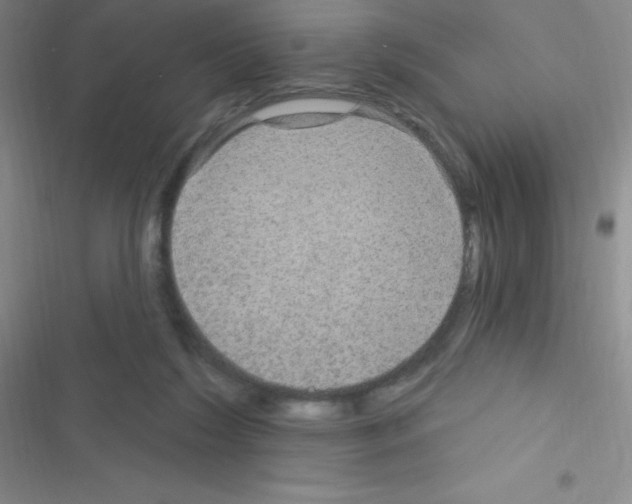 X0000116590212201001211333