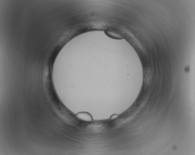 X0000116590213201001211333