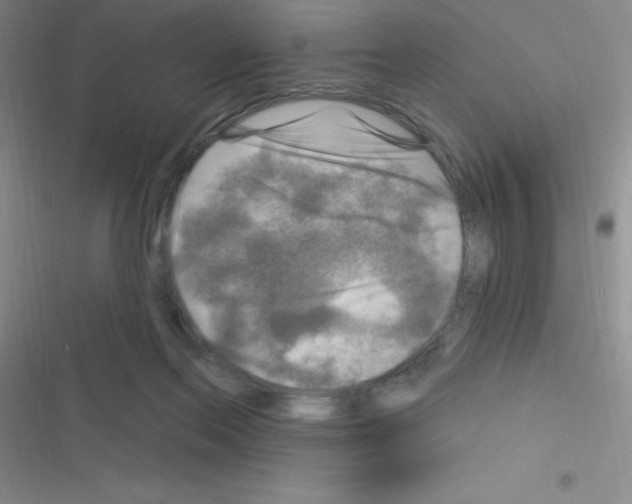 X0000116590214201001211333