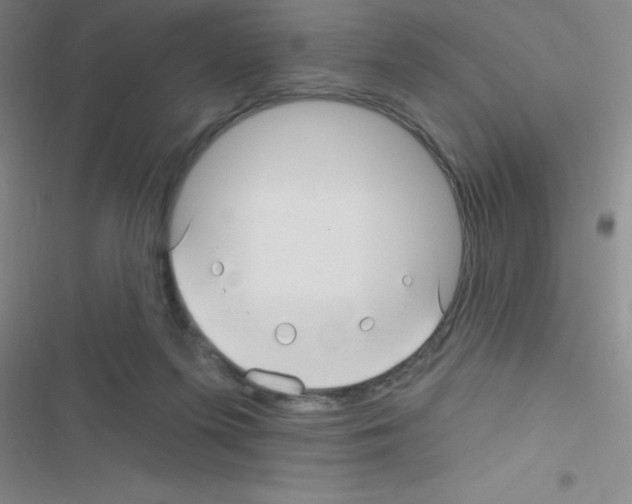 X0000116590215201001211333