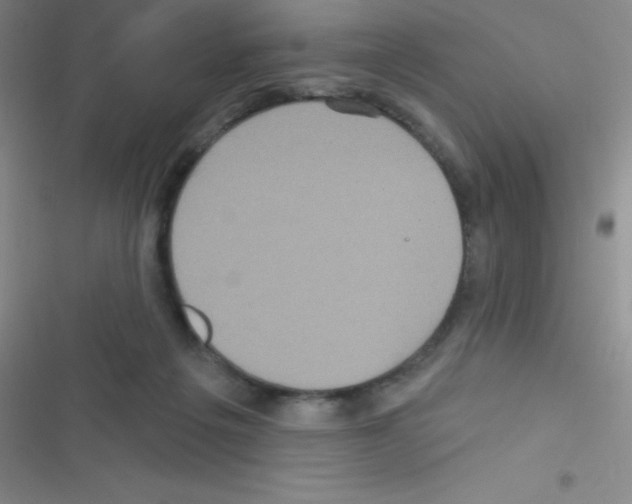 X0000116590217201001211333