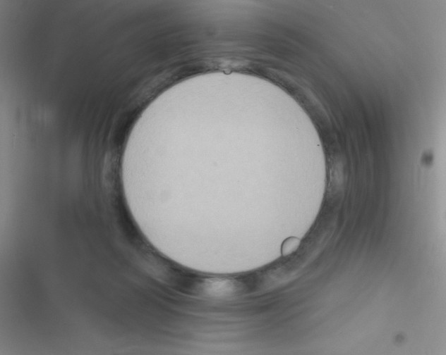 X0000116590218201001211333