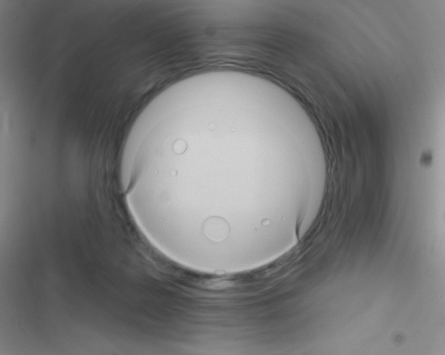 X0000116590219201001211333