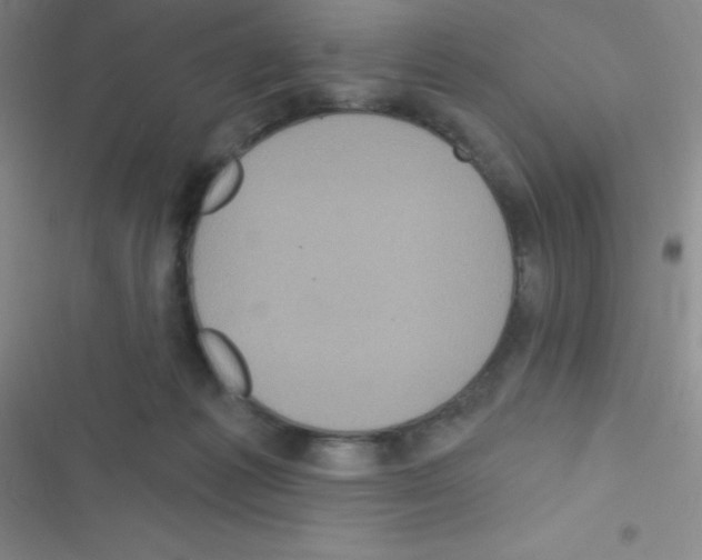 X0000116590221201001211333