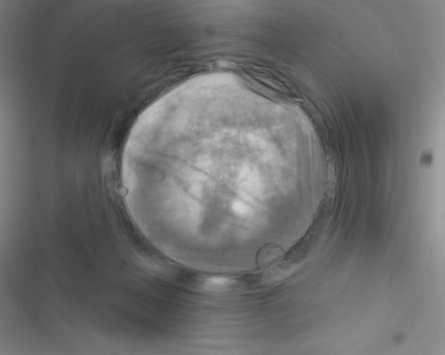 X0000116590222201001211333