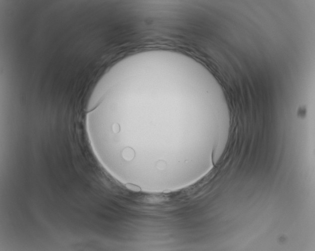 X0000116590223201001211333