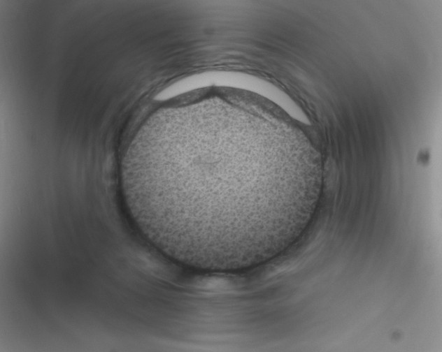 X0000116590224201001211333