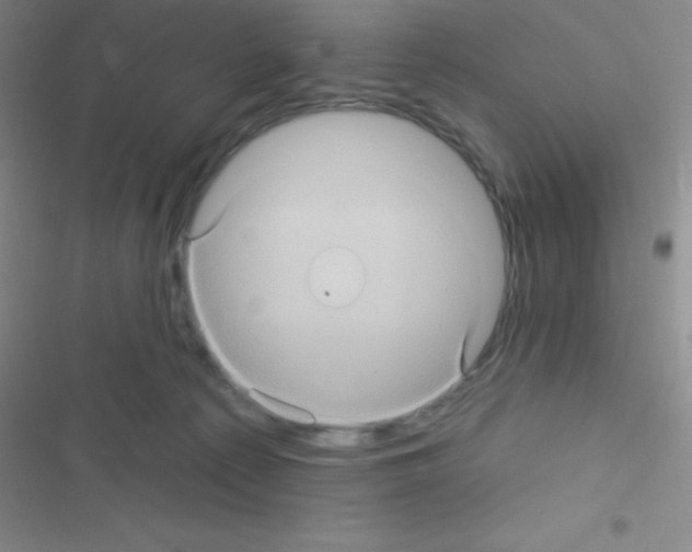 X0000116590225201001211333