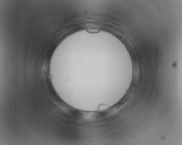 X0000116590226201001211333