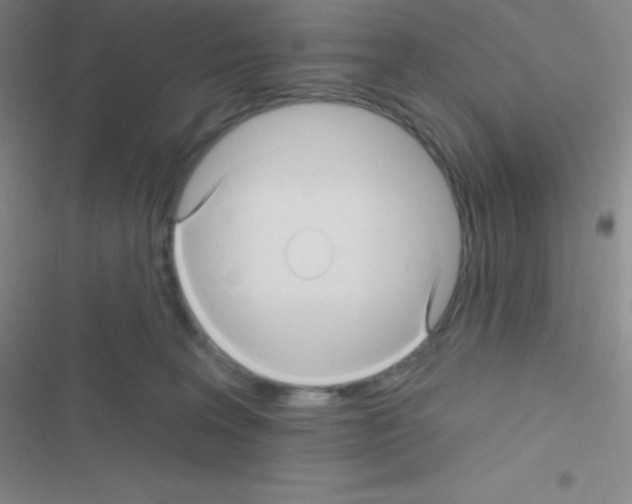 X0000116590227201001211333