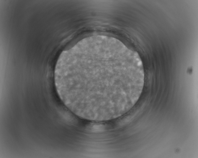 X0000116590228201001211333