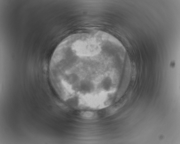 X0000116590230201001211332