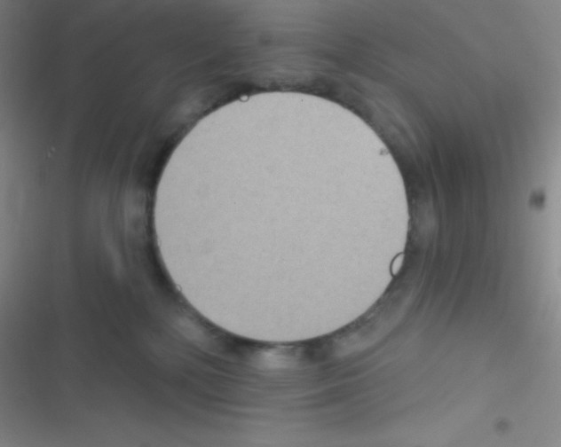 X0000116590232201001211332