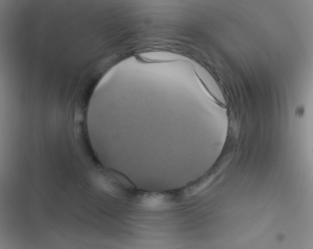 X0000116590235201001211332