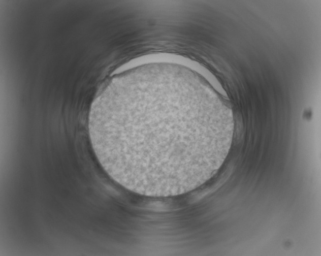 X0000116590236201001211332