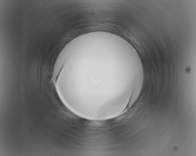 X0000116590237201001211332