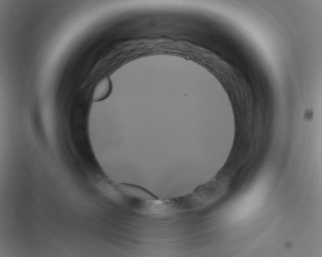 X0000116590239201001211332