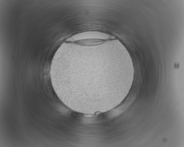 X0000116590240201001211332