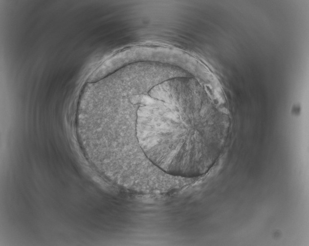 X0000116590241201001211332