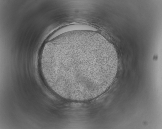 X0000116590242201001211332